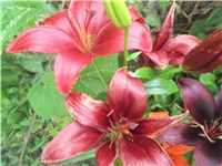 850e160f-Picture 028.jpg